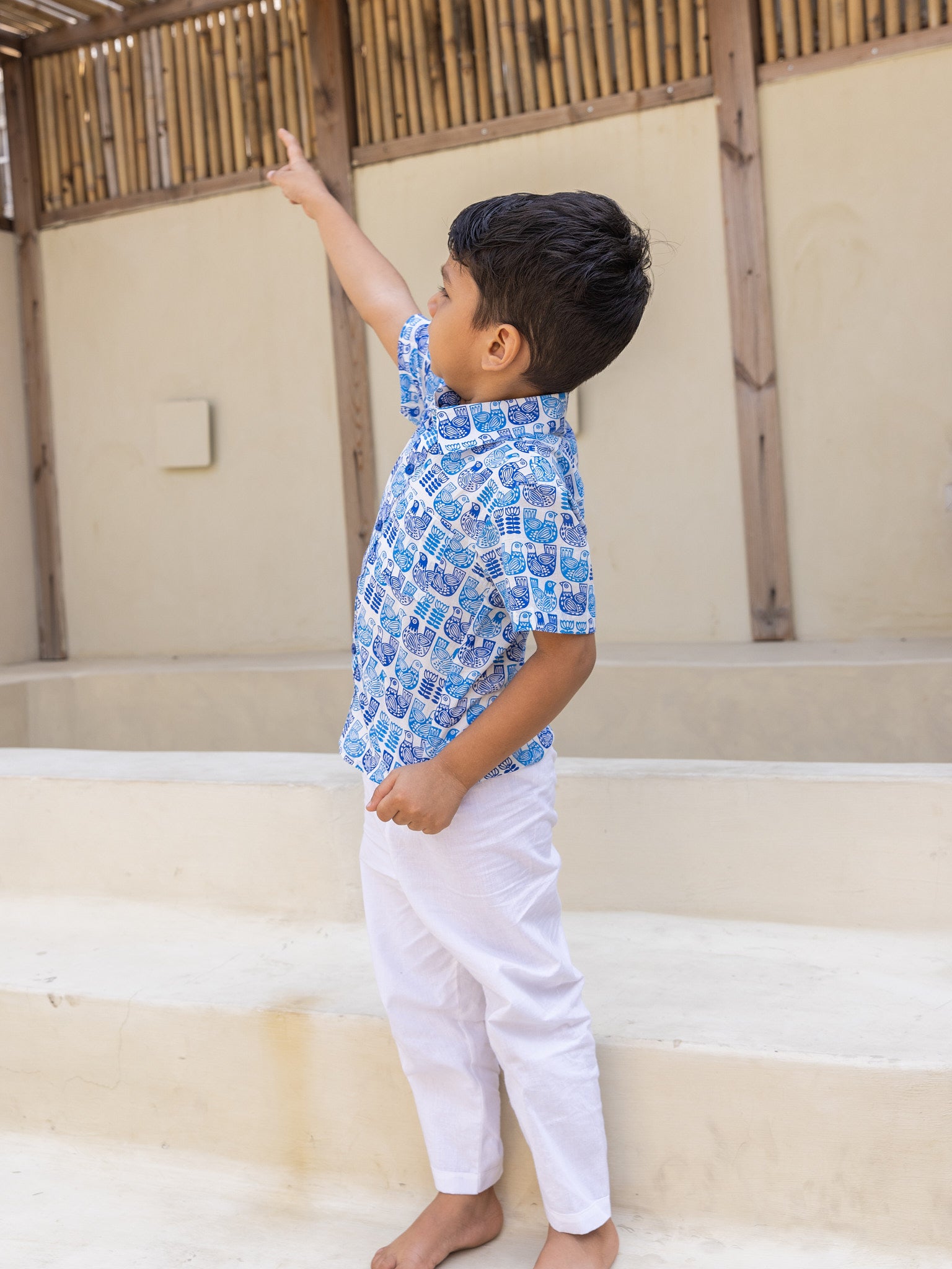Cotton Blue Pigeons Boys Shirt